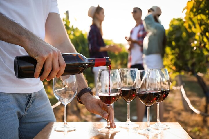Private Cultural Wine Journey from Atlanta - Photo 1 of 5